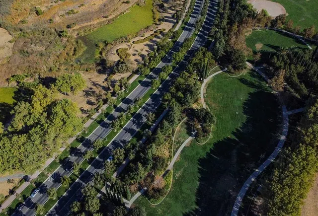a view of yard with tree s