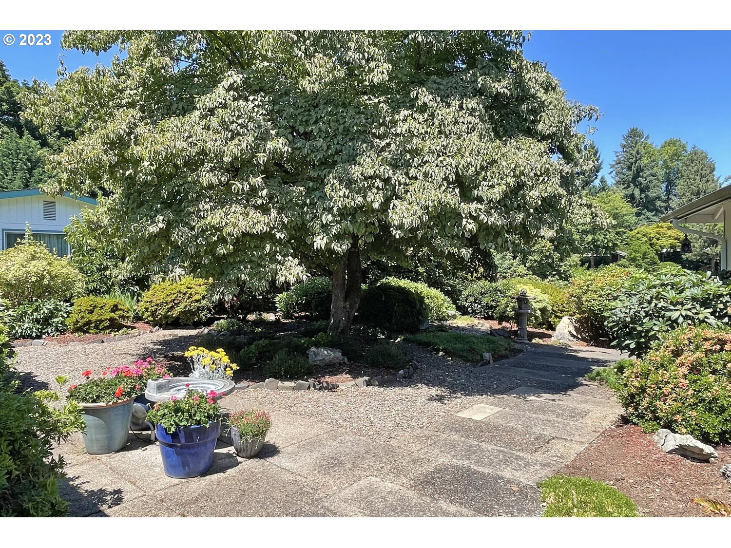 1155 Diamond Street Springfield, OR 97477 - Photo 31 of 34 a view of a backyard