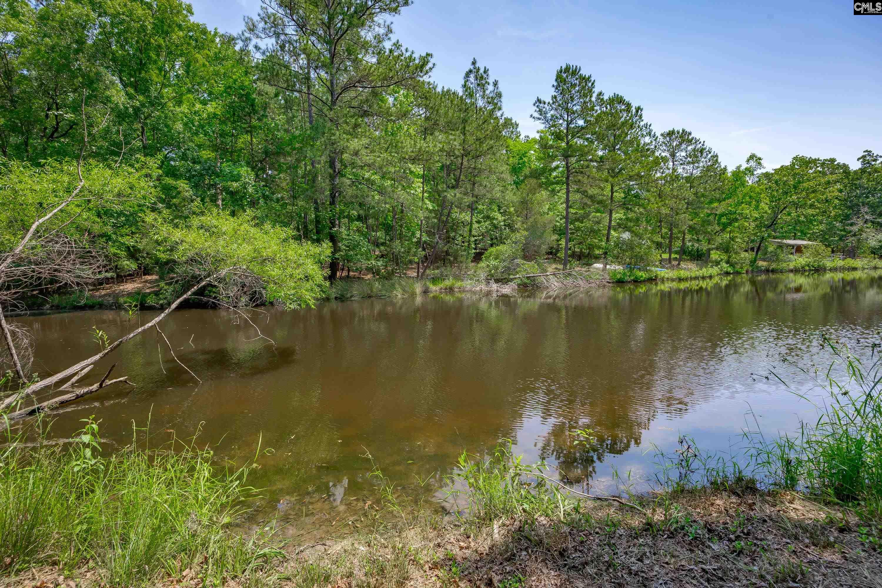 841 Foxden Road Gilbert, SC 29054 - Photo 43 of 52