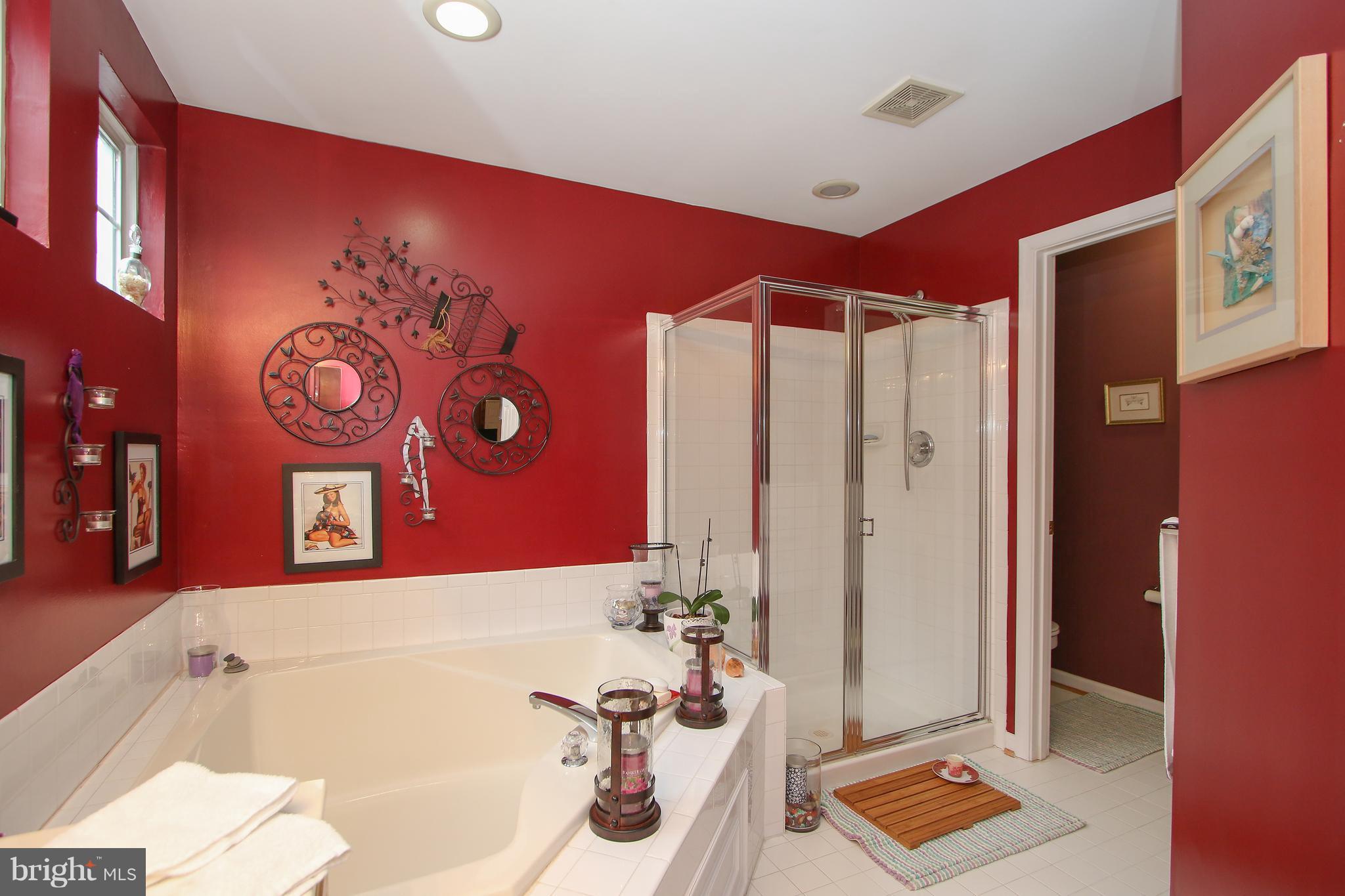 13823 Lullaby Road Germantown, MD 20874 - Photo 20 of 30 Bath (Master)