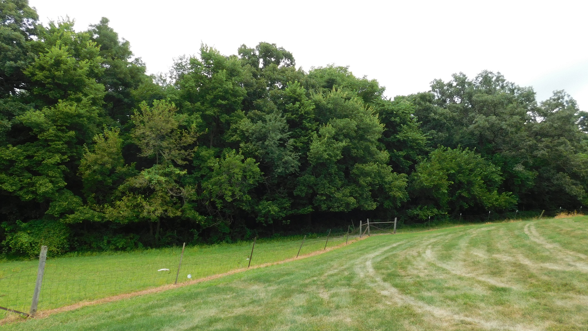 1232 B Steward Road Steward, IL 60553 - Photo 2 of 44 a view of a green field