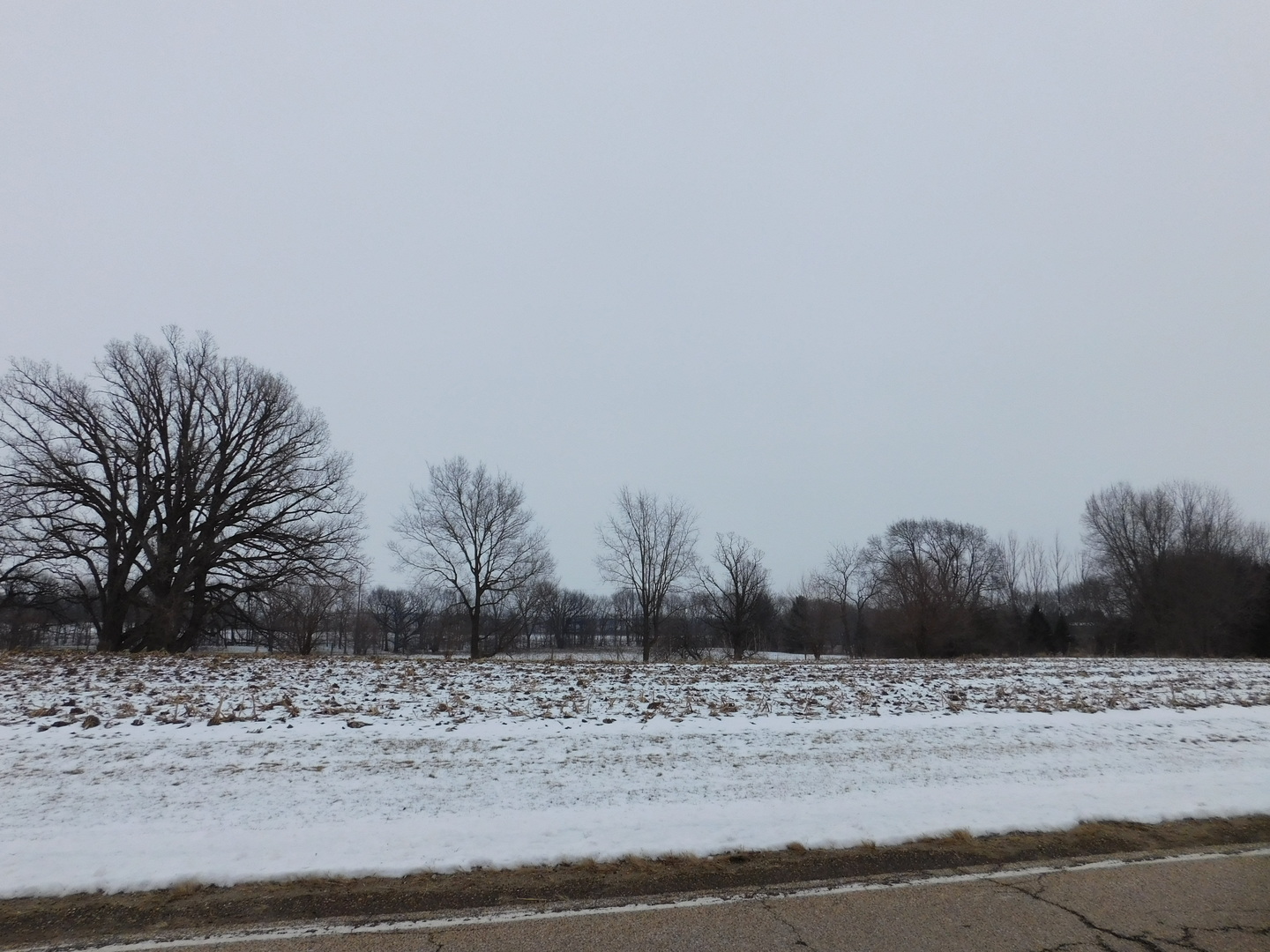 1232 B Steward Road Steward, IL 60553 - Photo 40 of 44 a view of dirt field and trees