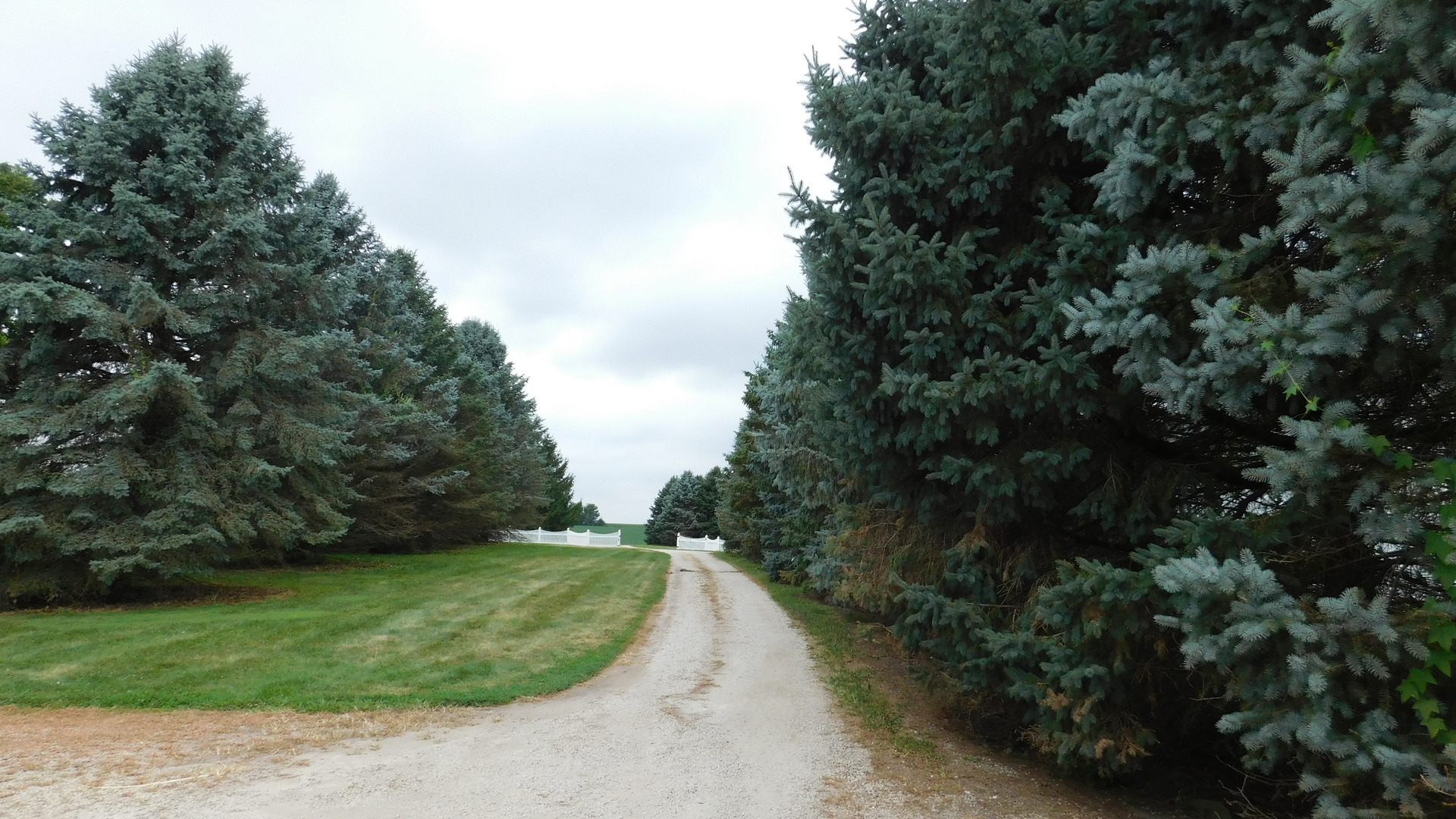1232 B Steward Road Steward, IL 60553 - Photo 6 of 44 a view of a road with a yard