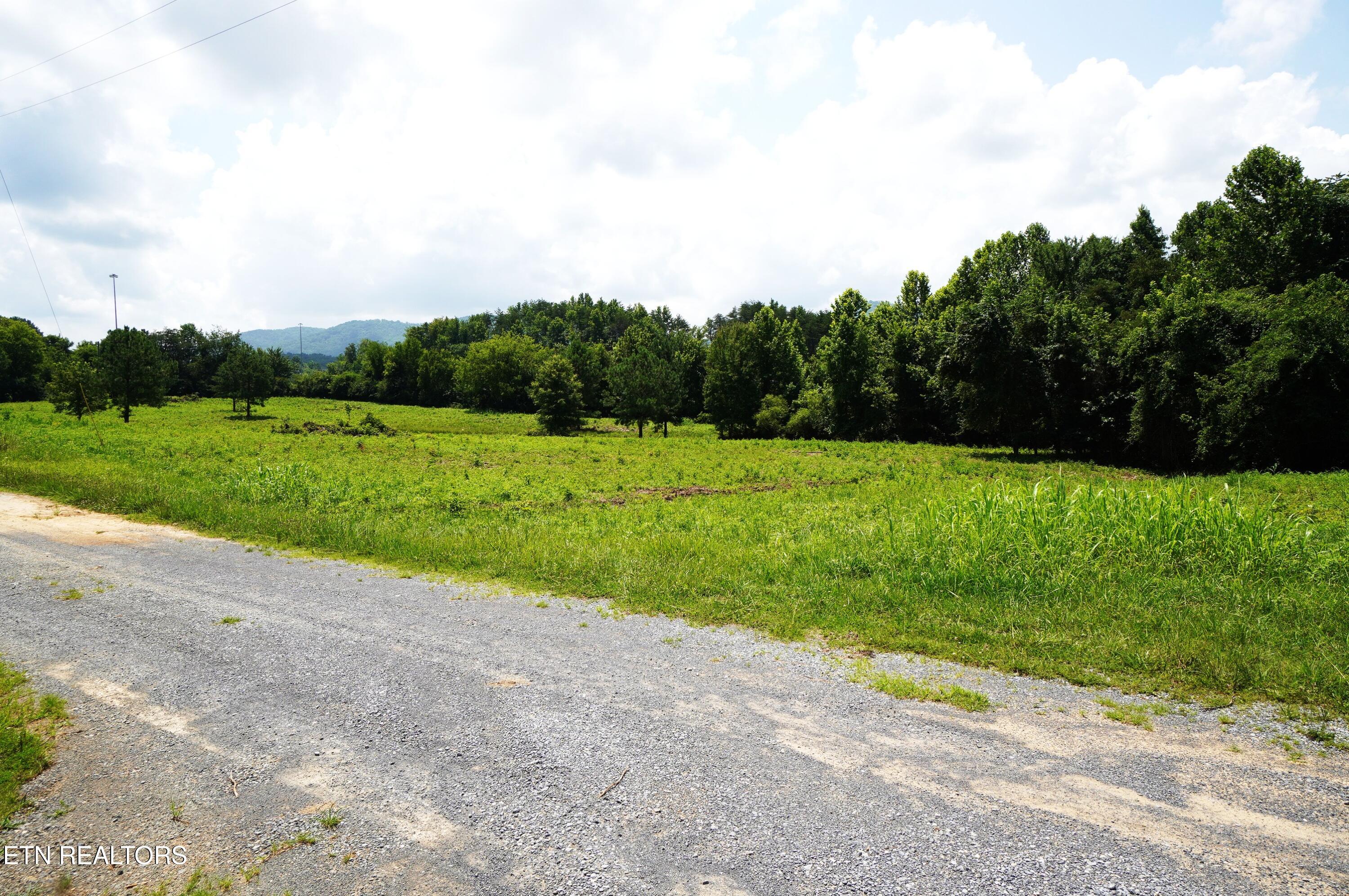 0 Rhyne Camp Road Newport, TN 37821 - Photo 7 of 19 camp rhyne rd (8)