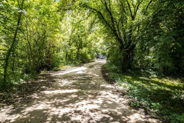 a view of a forest with trees