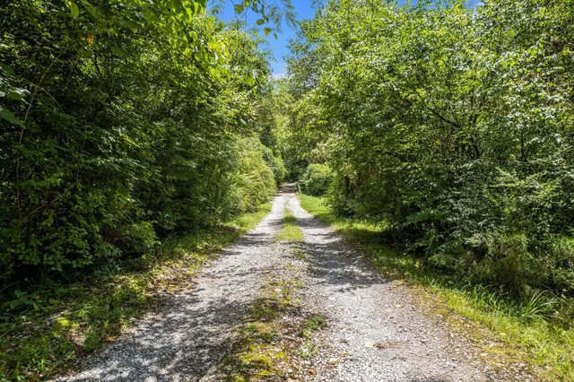a big yard with lots of green space and house