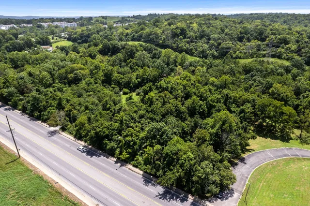 a view of a forest with a street