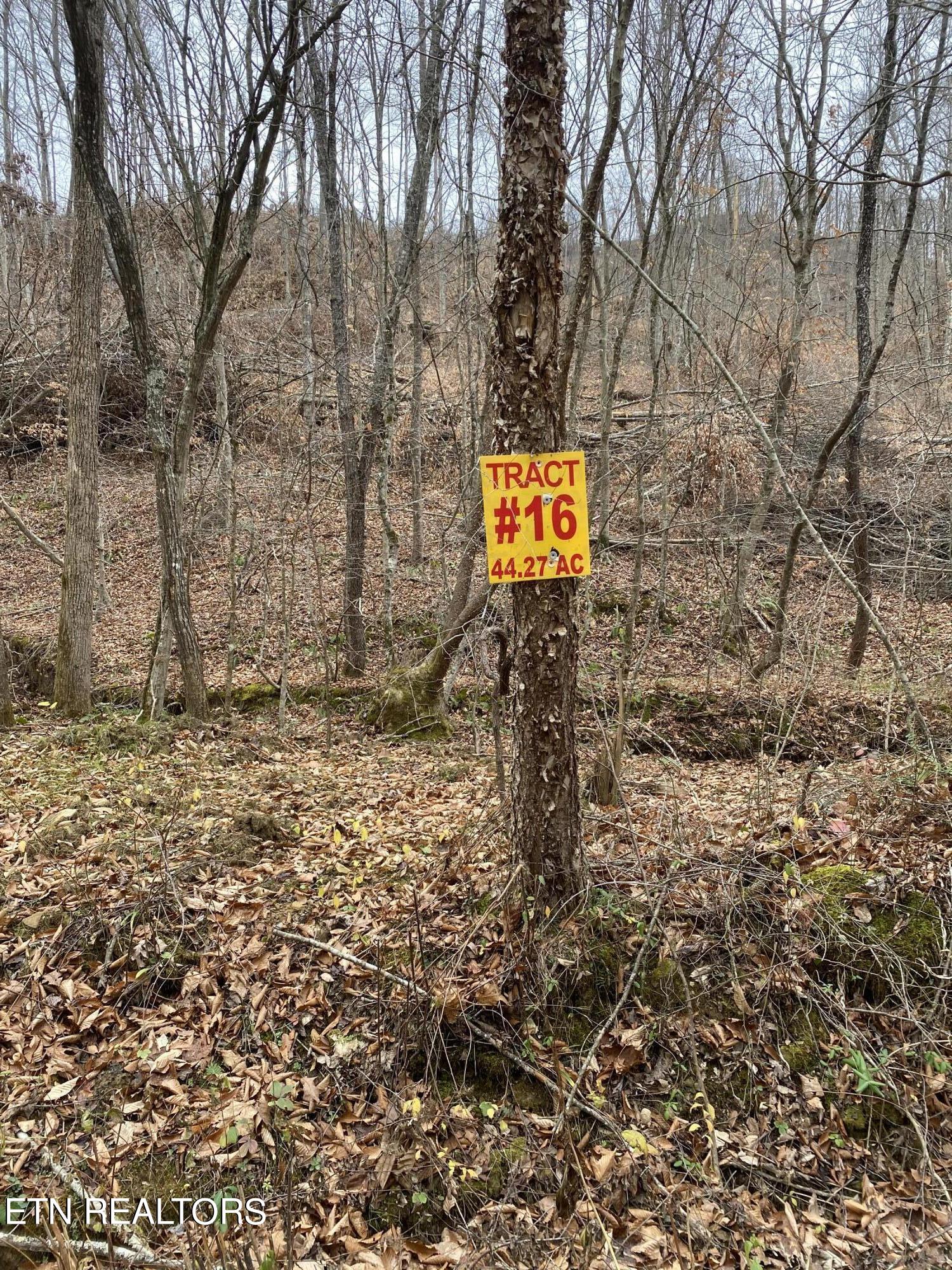 Lot # Stanley Creek Road Oneida, TN 37841 - Photo 1 of 6 LOT 16 NEW 2