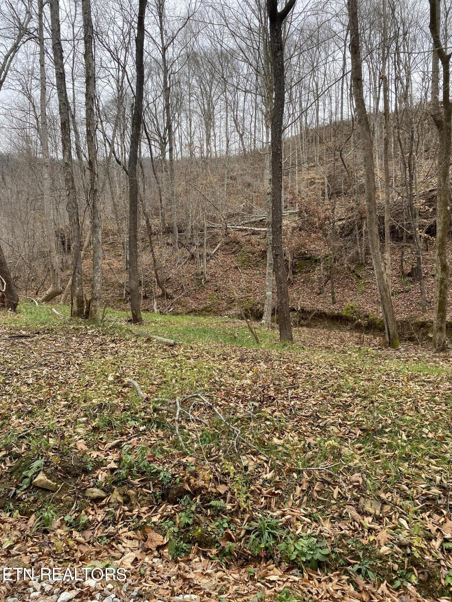 Lot # Stanley Creek Road Oneida, TN 37841 - Photo 3 of 6 LOT 16 5
