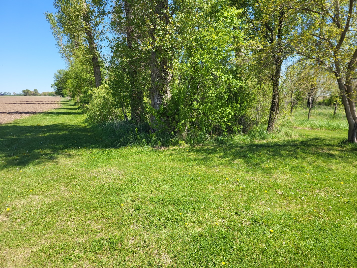 4509 Island Road Harvard, IL 60033 - Photo 37 of 40 a view of outdoor space with a garden