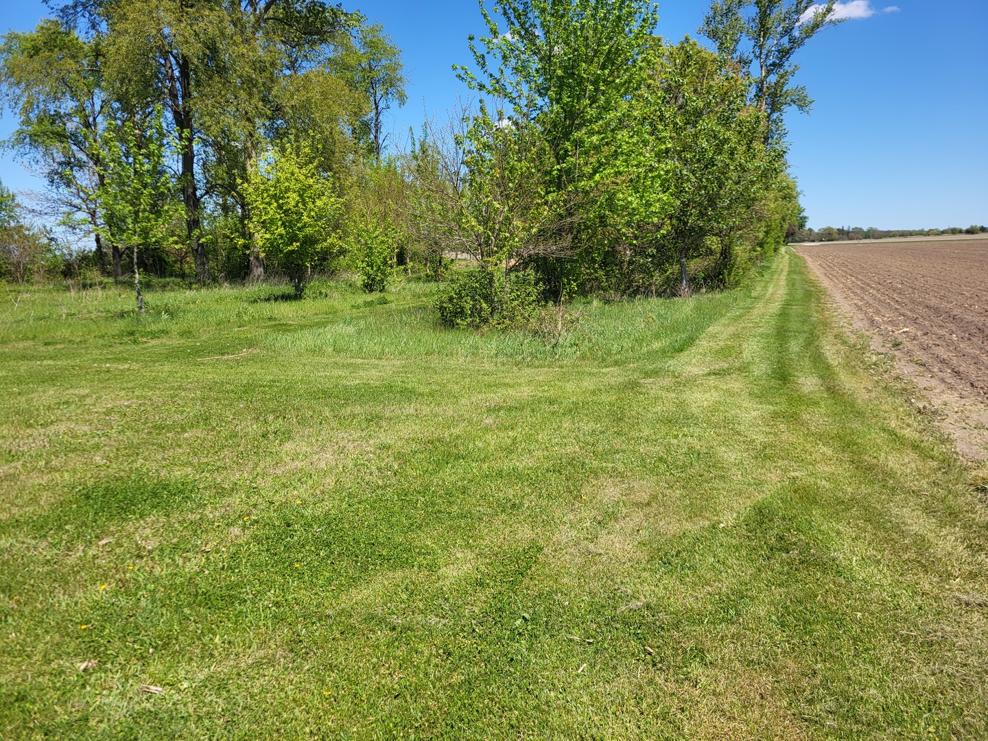 4509 Island Road Harvard, IL 60033 - Photo 38 of 40 a view of a green field with trees