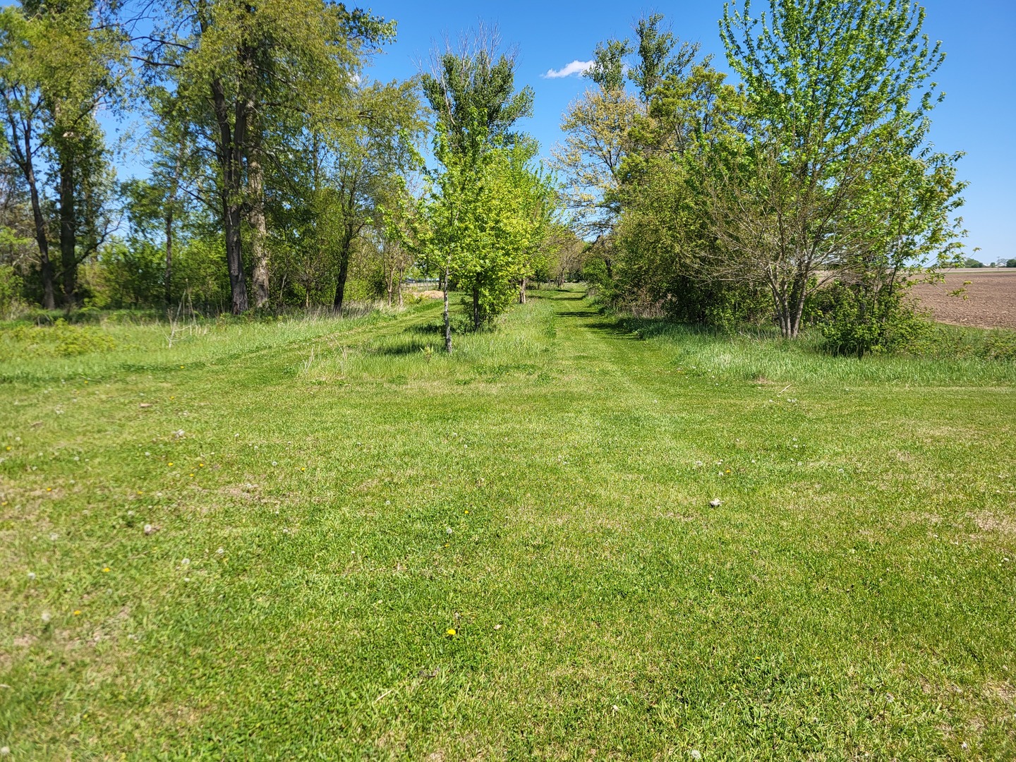 4509 Island Road Harvard, IL 60033 - Photo 39 of 40 a view of outdoor space with deck and yard