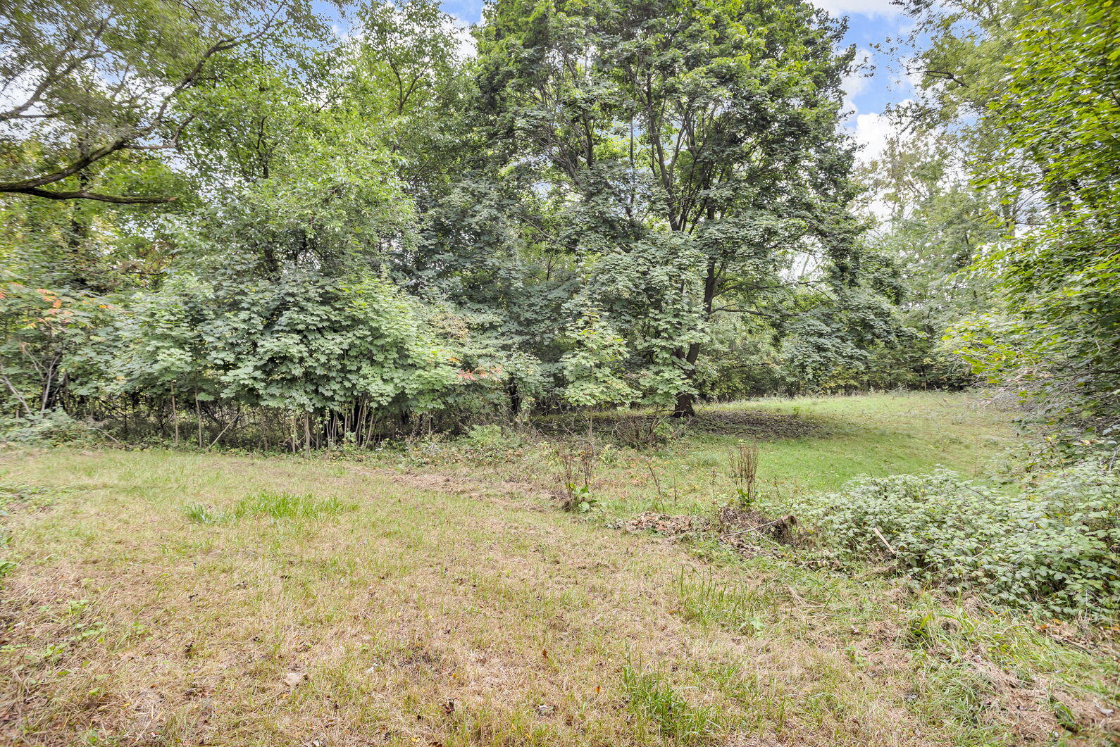 21350 Junction Road Bellevue, MI 49021 - Photo 26 of 27 28-web-or-mls-0N0A2954 - Copy
