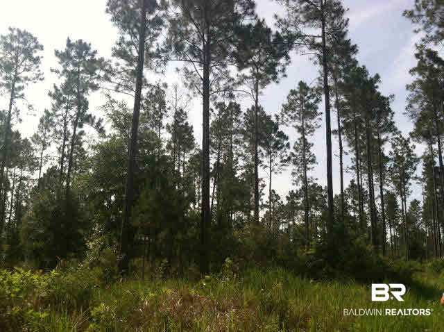 2 Truck Rte 17 Road Loxley, AL 36551 - Photo 1 of 1