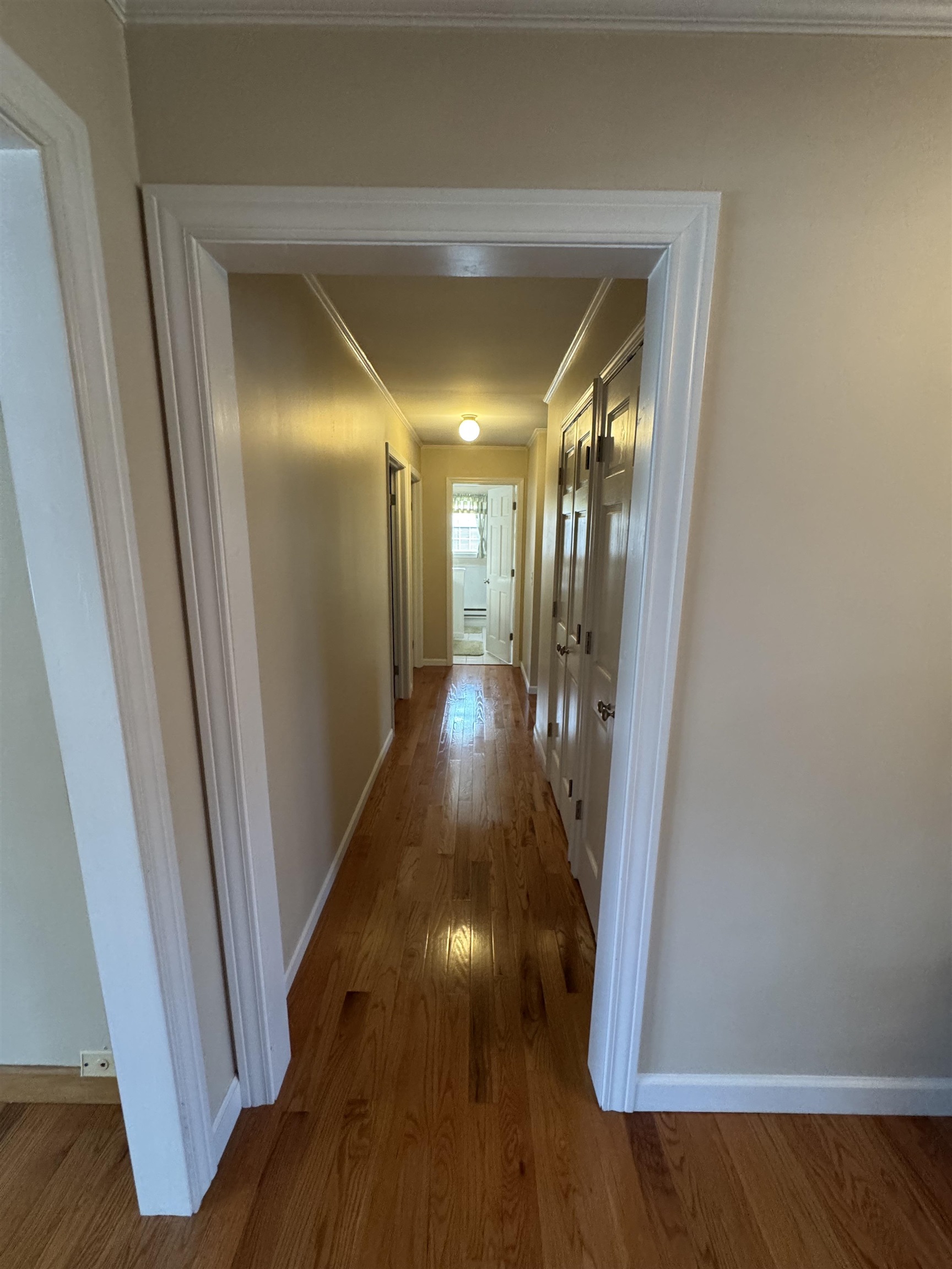 4041 Berry Road Sterling, MI 48659 - Photo 8 of 74