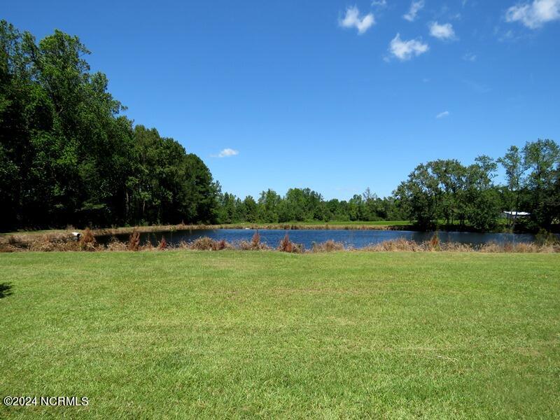 4512 Tobacco Road Orrum, NC 28369 - Photo 8 of 50 Gallery Image 8