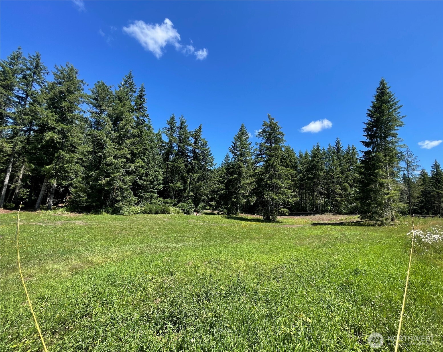 -xx Lynch Road McCleary, WA 98557 - Photo 1 of 10