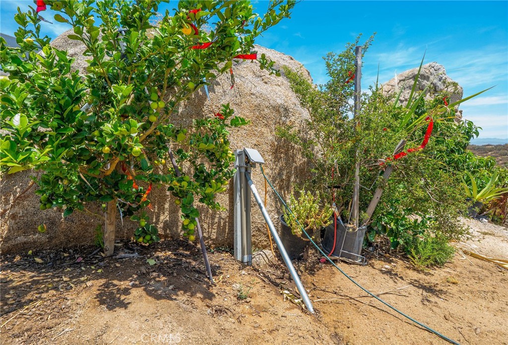 41720 Oak Canyon Road Hemet, CA 92544 - Photo 24 of 30