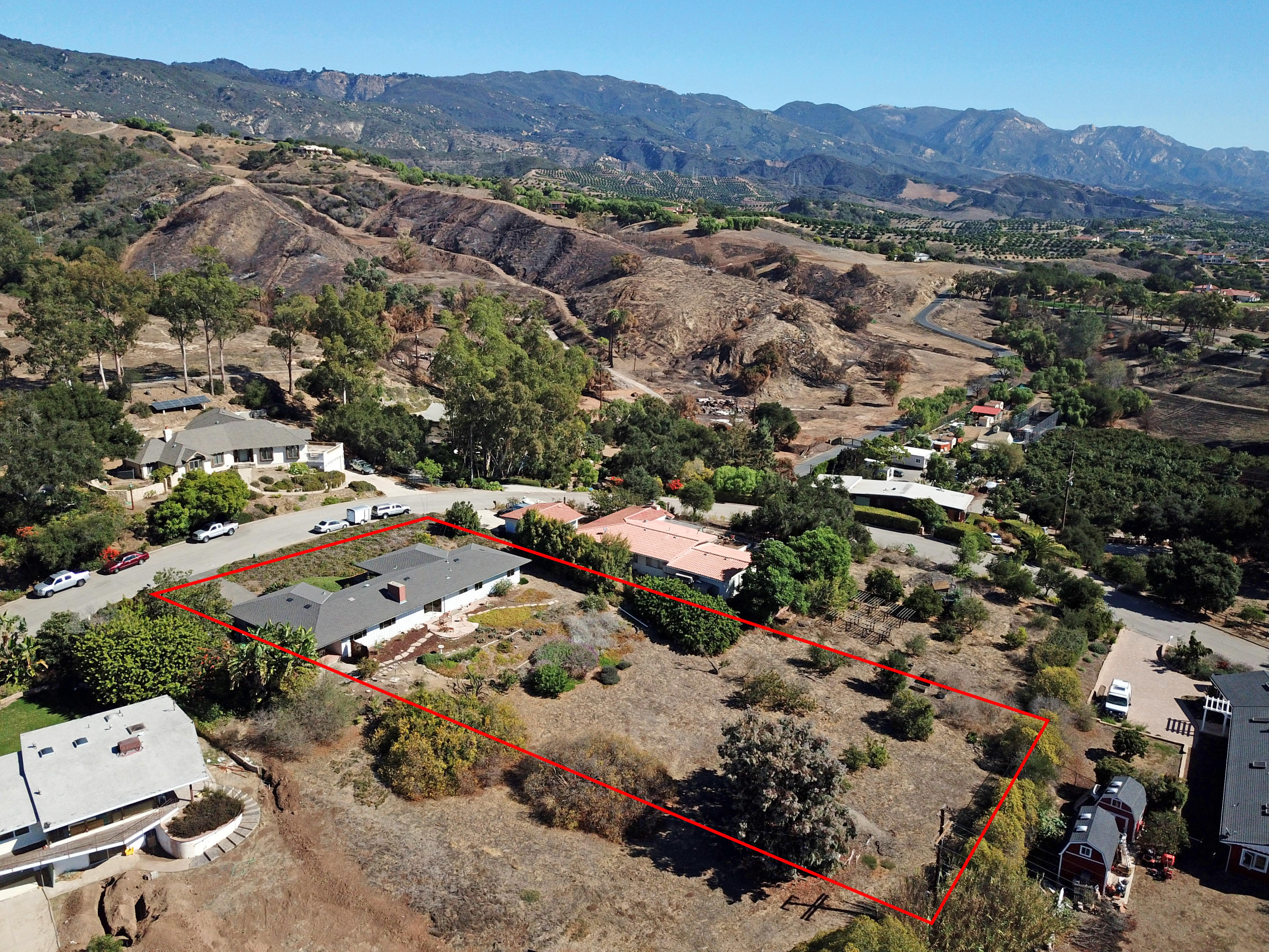 Holiday Hill