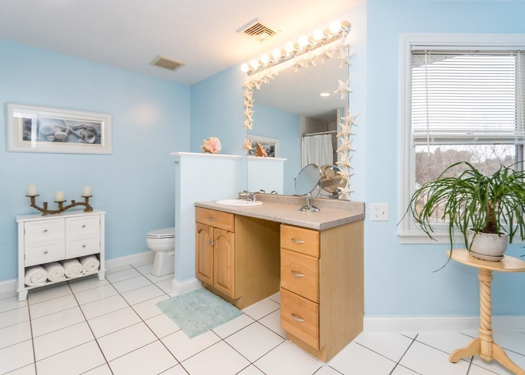 91 Brewster Road Waltham, MA 02451 - Photo 19 of 41 a bathroom with a sink a mirror and a potted plant