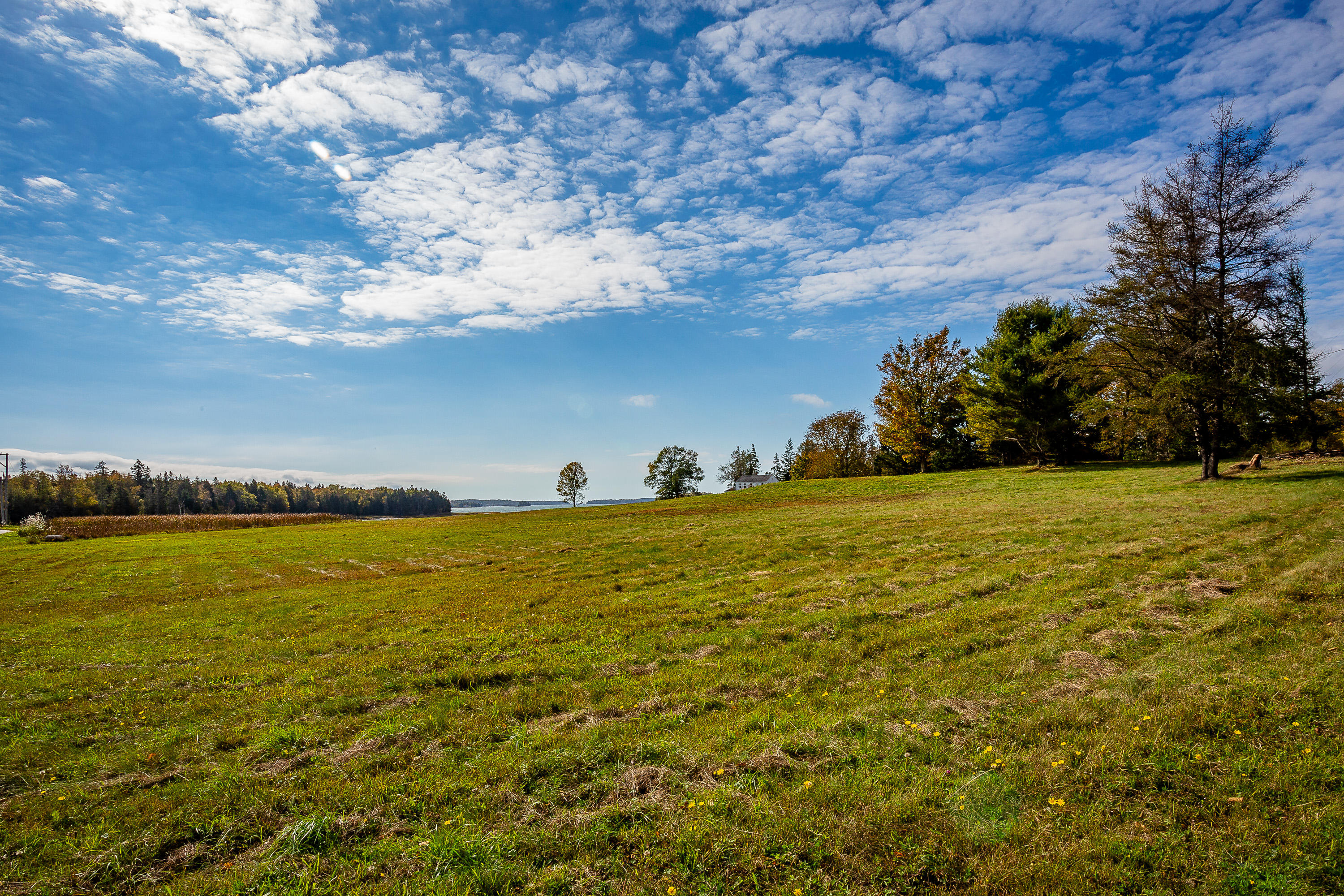 410 Ferry Road Islesboro, ME 04848 - Photo 12 of 18 410Ferry_11_S_print
