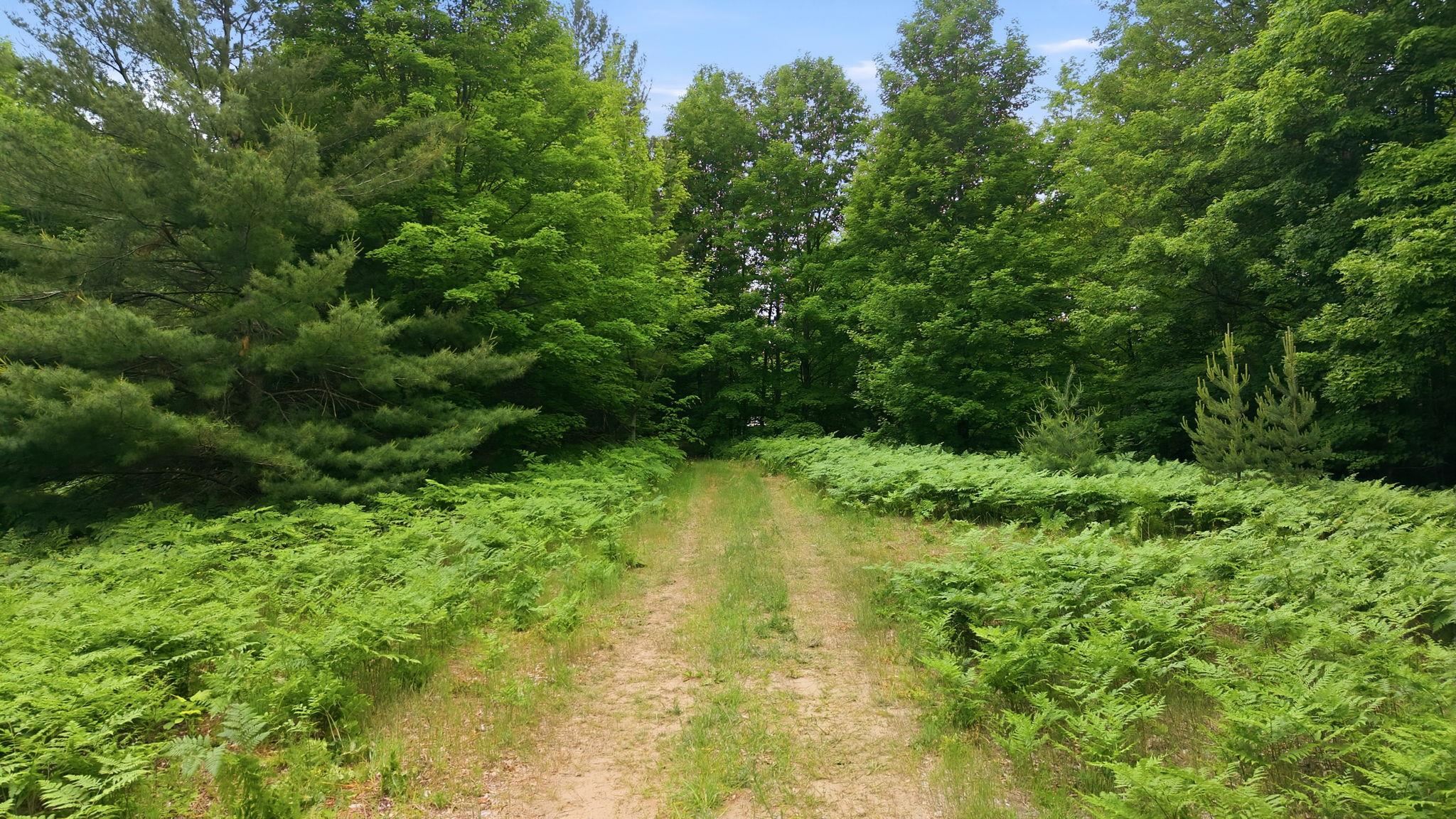 3982 Mitchell Road Southeast Kalkaska, MI 49646 - Photo 27 of 29
