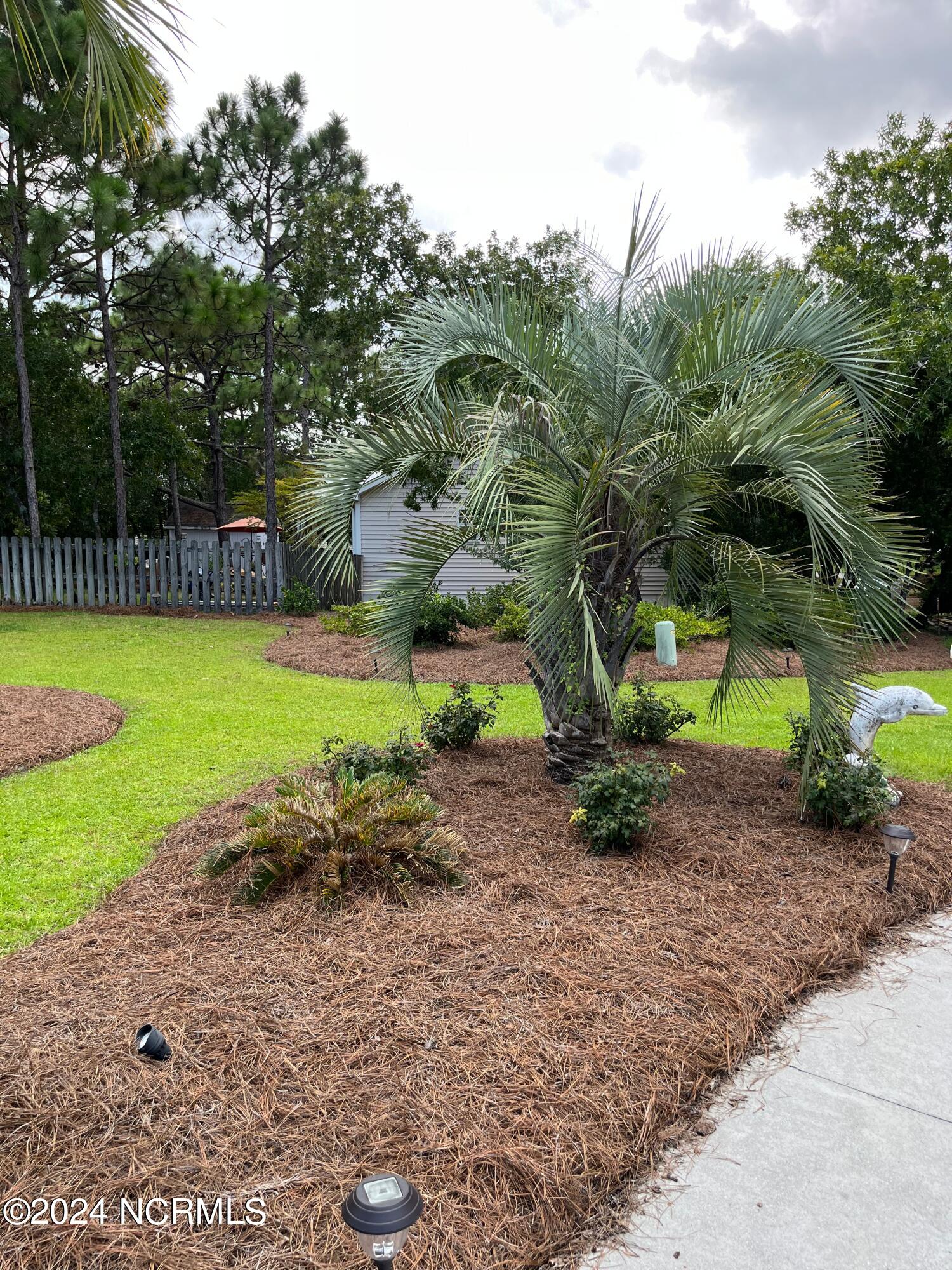7602 Pontchartrain Road Wilmington, NC 28412 - Photo 21 of 61 Front Yard
