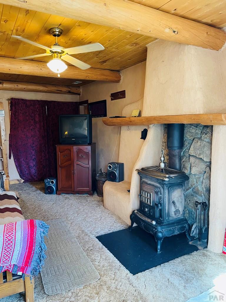 6003 Columbine Street Rye, CO 81069 - Photo 5 of 27
