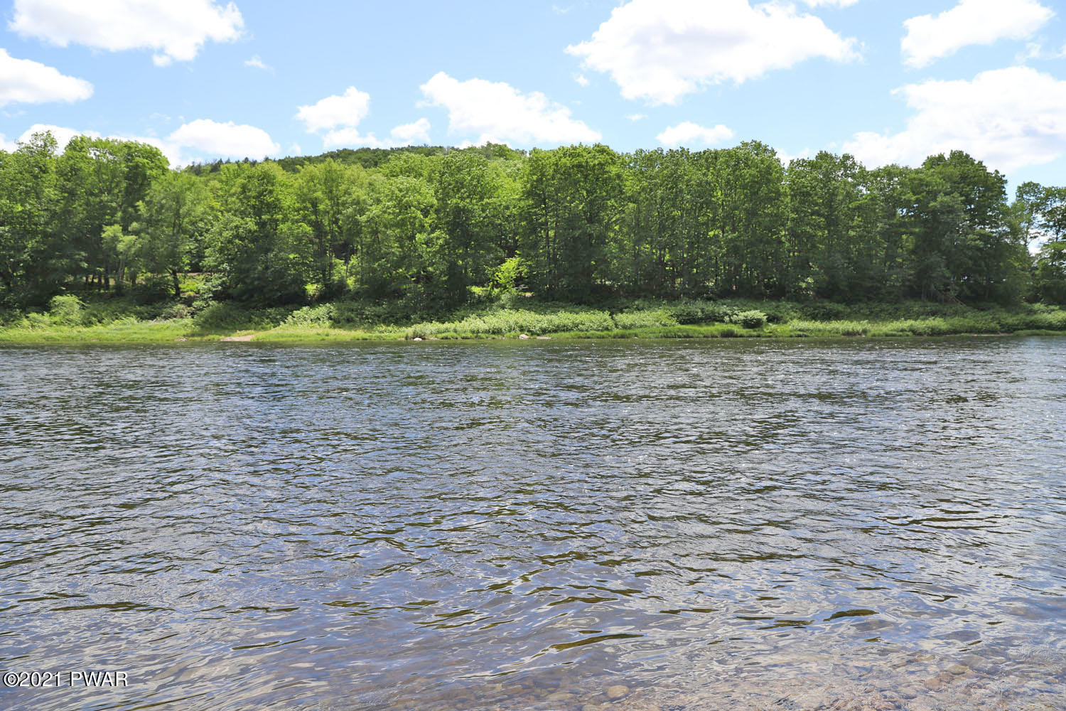 238 River Road Beach Lake, PA 18405 - Photo 31 of 33 IMG_1352