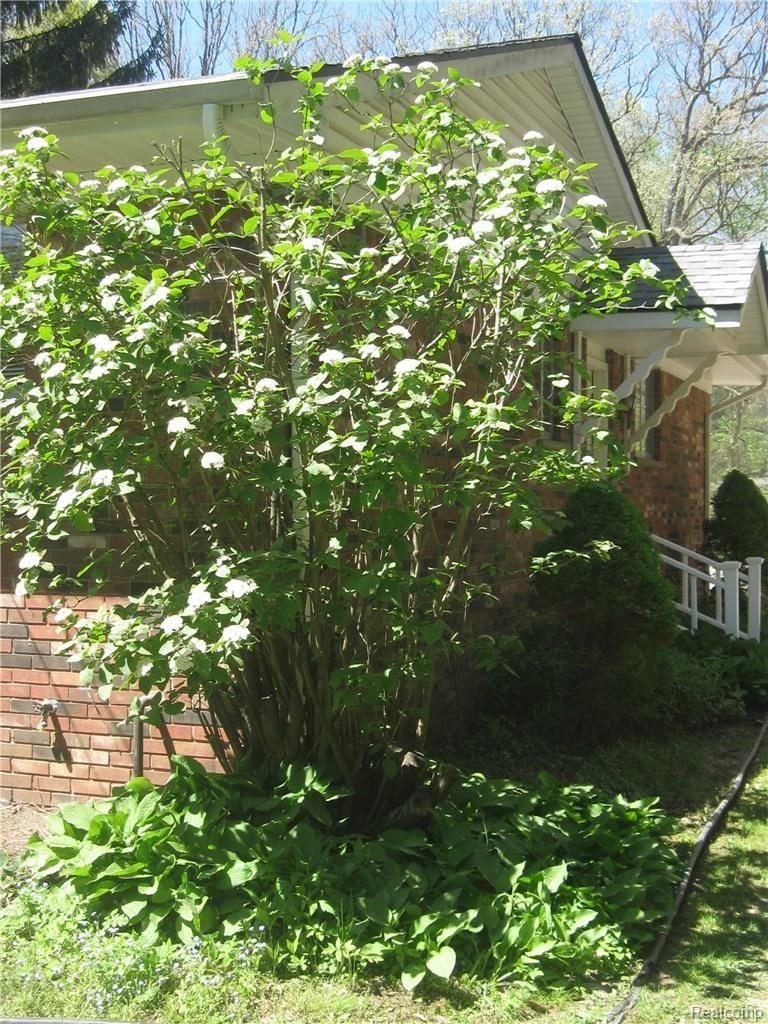 7251 Rattalee Lake Road Clarkston, MI 48348 - Photo 57 of 80 IMG_7027.JPG