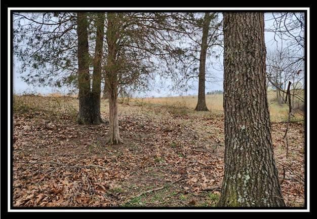 0 Metheny Fairplay Road, Unit TRACT 1) Vinton, OH 45686 - Photo 32 of 41 image031