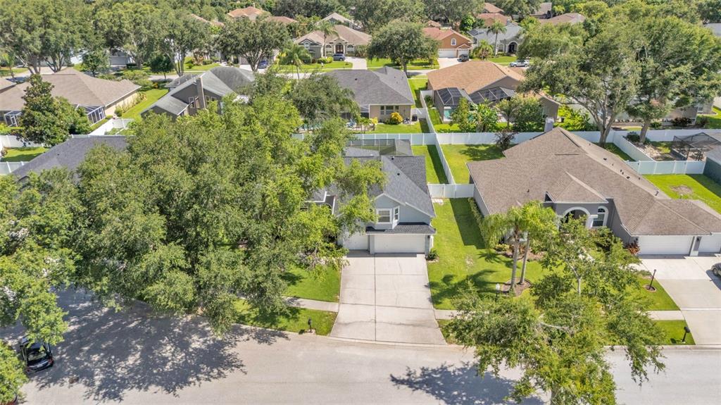 3911 Smoke Rise Court Valrico, FL 33594 - Photo 4 of 62