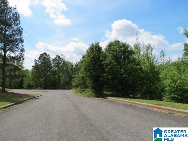 Kings View Court, Unit 25 Oneonta, AL 35121 - Photo 4 of 5