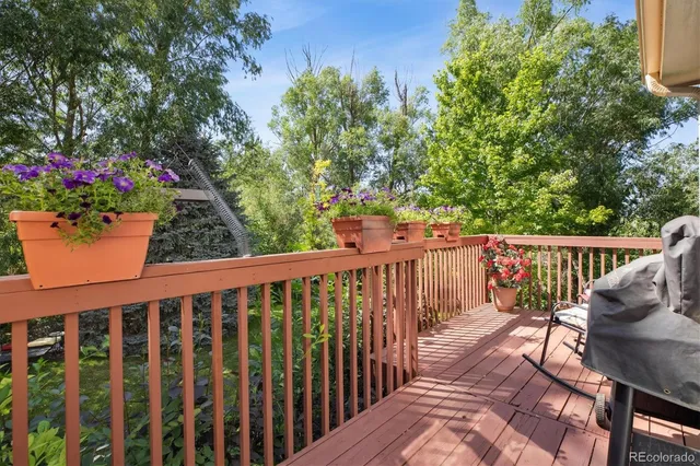 a view of a house with a backyard and a patio