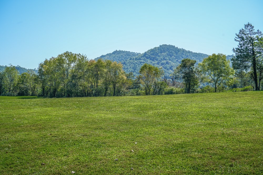 233 Myers Road Townsend, TN 37882 - Photo 20 of 27 Gallery Image 20