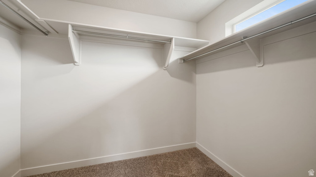 1223 East 1775 North Payson, UT 84651 - Photo 35 of 45 Walk-in closet featuring white shelving, hanging rods, an upper window, and carpet flooring