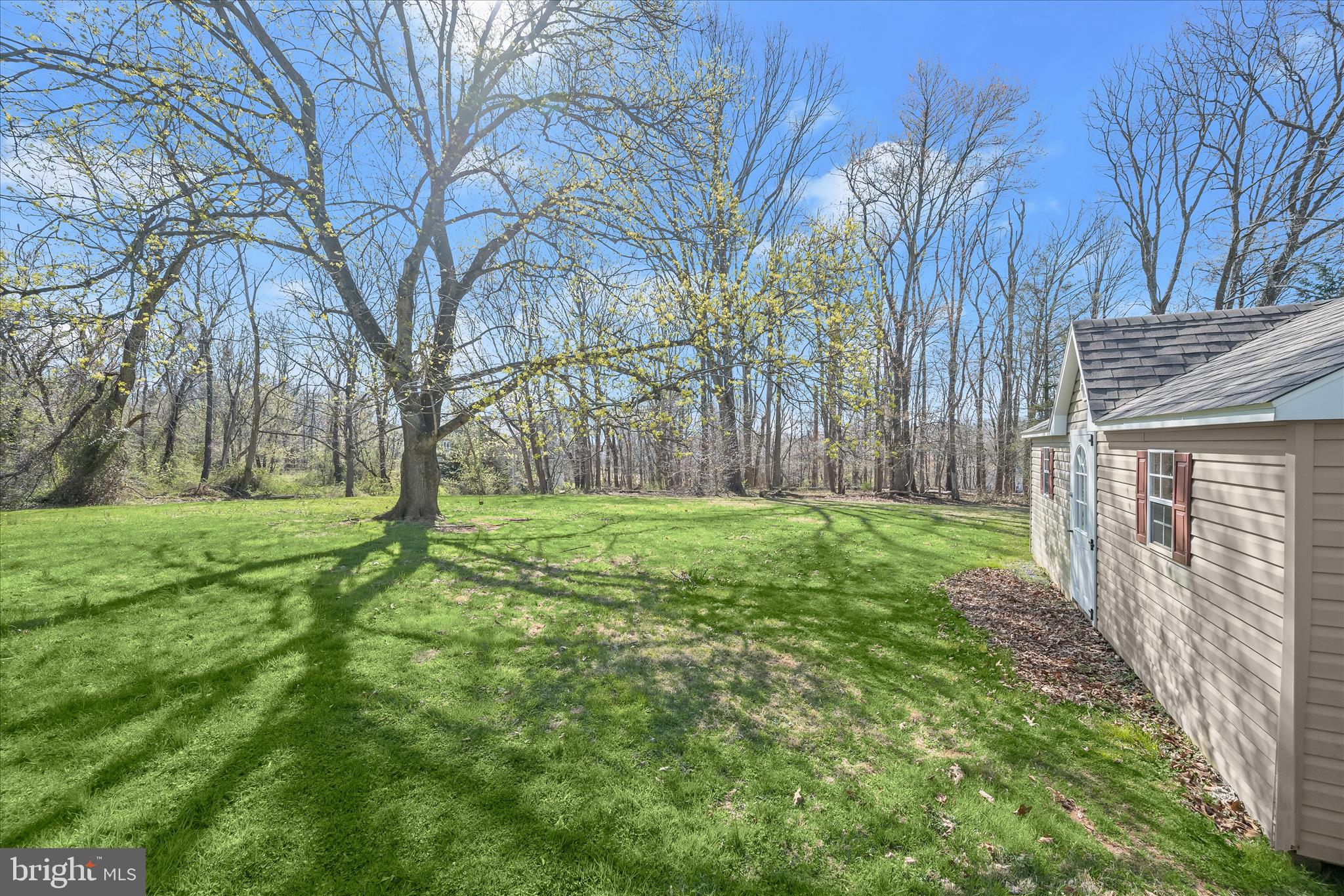 14865 Bushy Park Road Cooksville, MD 21723 - Photo 31 of 39 a view of a yard with large trees