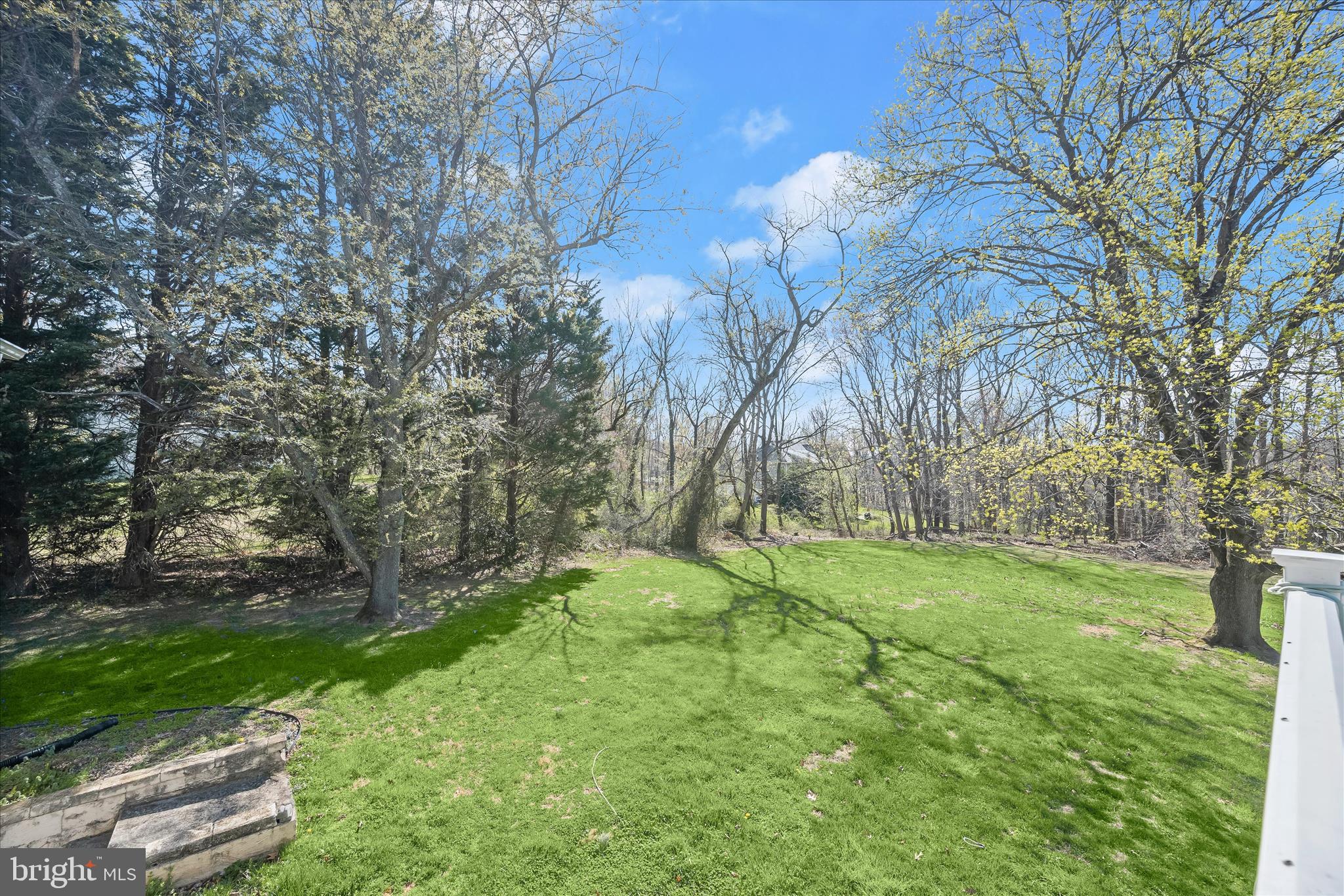 14865 Bushy Park Road Cooksville, MD 21723 - Photo 32 of 39 a backyard of a house with lots of green space