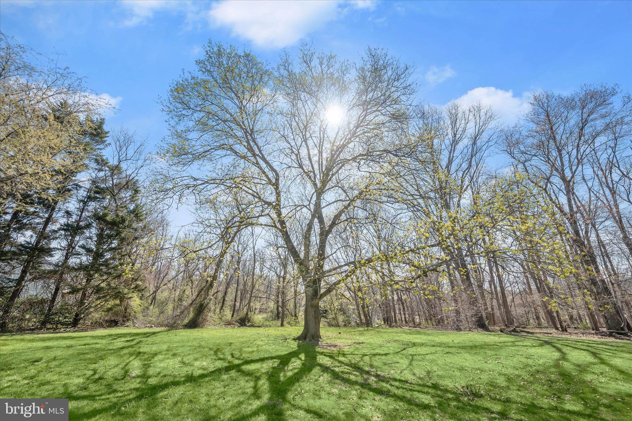 14865 Bushy Park Road Cooksville, MD 21723 - Photo 34 of 39 a backyard of a house with lots of green space