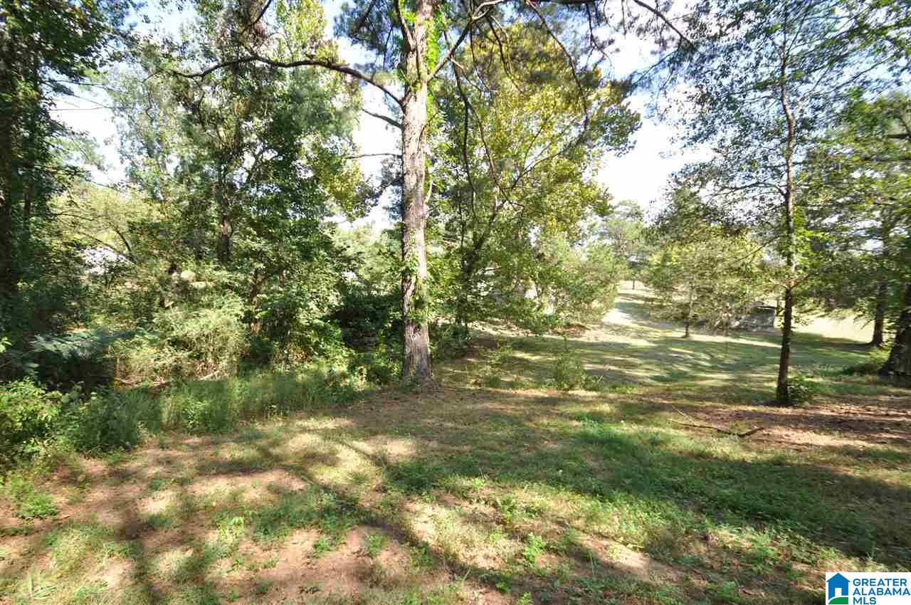 911 Baty Road Cleveland, AL 35049 - Photo 4 of 25 Gallery Image 4