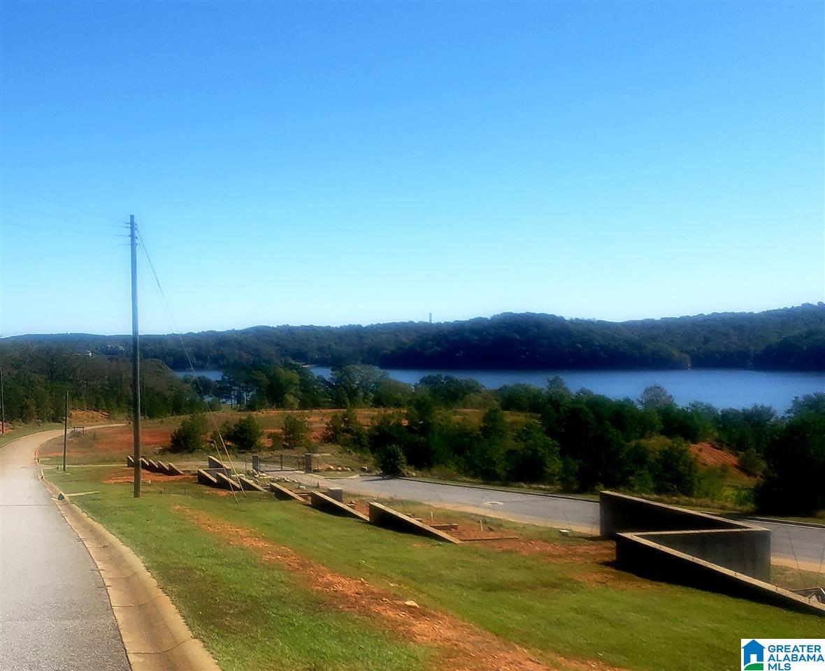 Ranch Marina Road, Unit 1 Pell City, AL 35128 - Photo 3 of 10