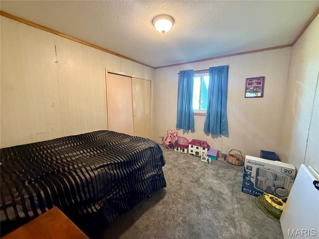 31575 Old Monticello Road Canton, MO 63435 - Photo 13 of 21