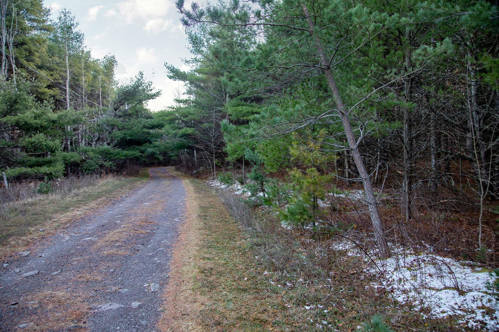 Buckhorn Mountain Road Medusa, NY 12120 - Photo 2 of 8 Photo 2