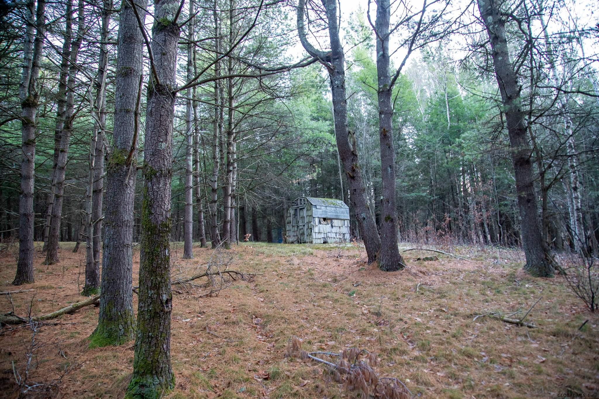 Buckhorn Mountain Road Medusa, NY 12120 - Photo 5 of 8 Photo 5