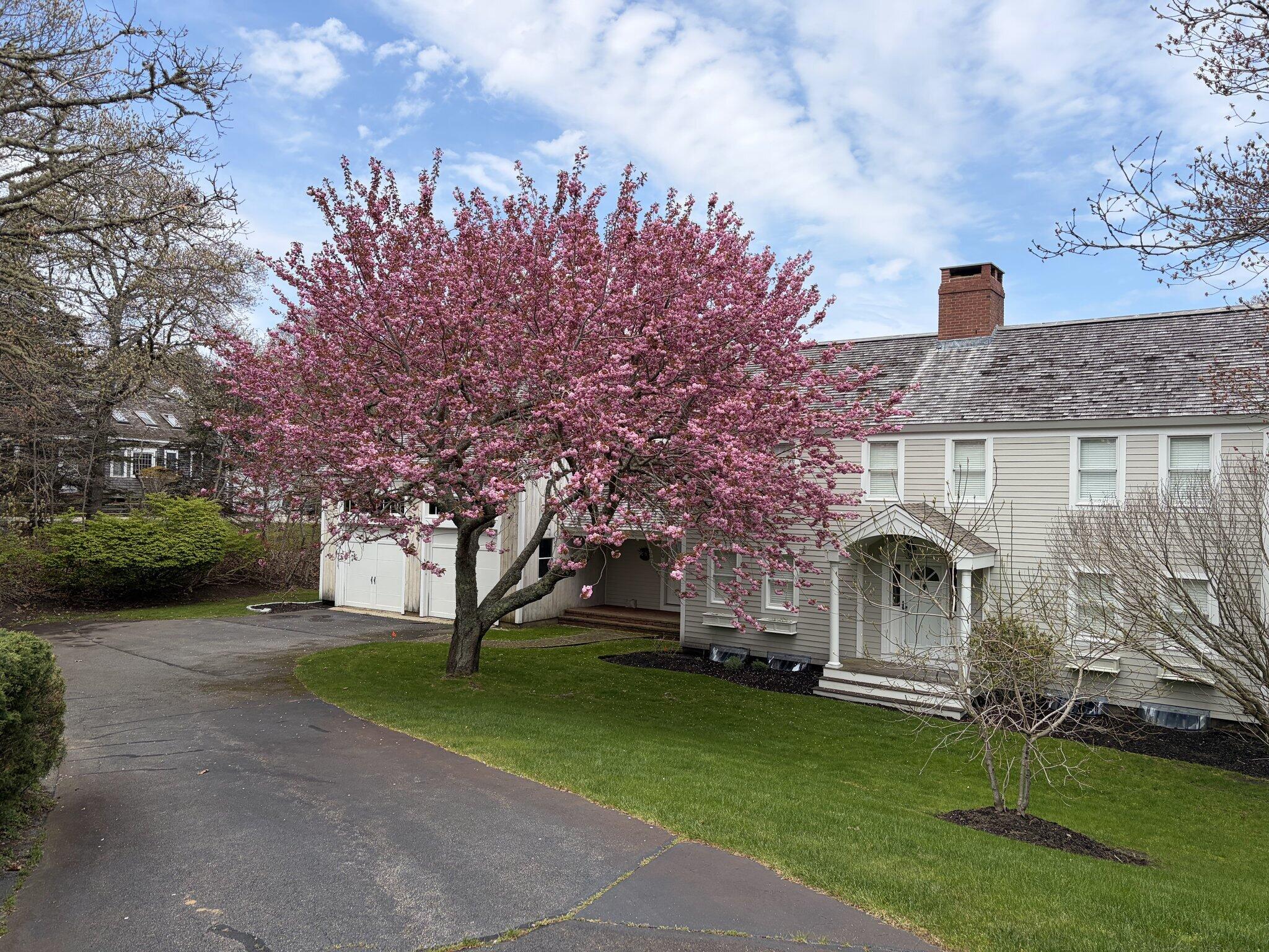 60 Harbor Hill Road Chatham, MA 02633 - Photo 2 of 50 60 Harbor Hill Road