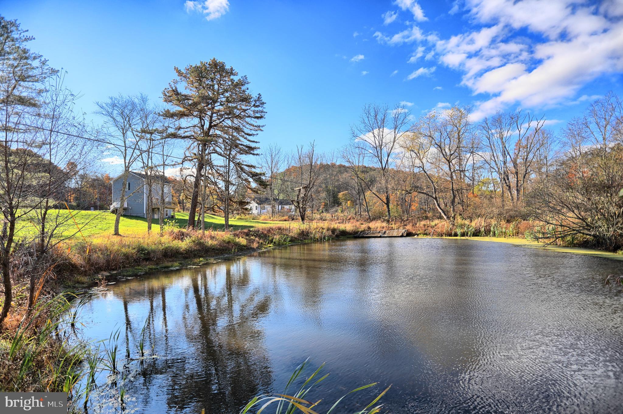 4118 Buckwheat Road Millerstown, PA 17062 - Photo 14 of 51 POND
