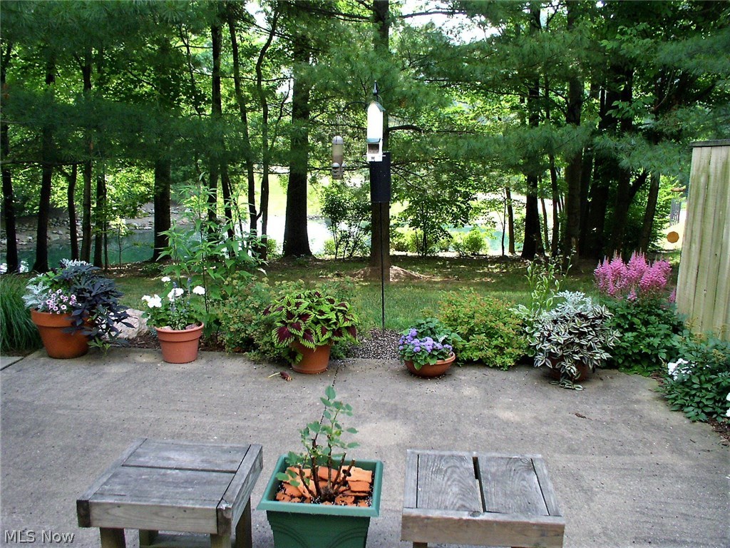 787 Hampton Ridge Drive Akron, OH 44313 - Photo 30 of 32 Check out this view - over sized patio with pond view and trees for privacy!!!!