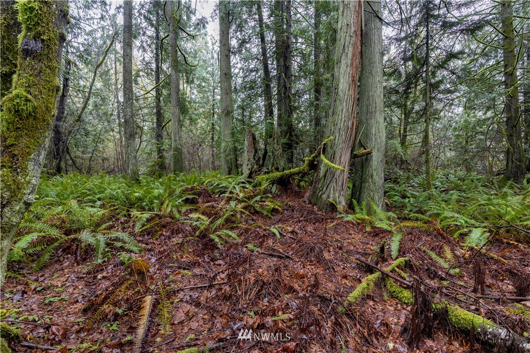 6 Sandy Hook Road Northeast Poulsbo, WA 98370 - Photo 3 of 11 Gallery Image 3