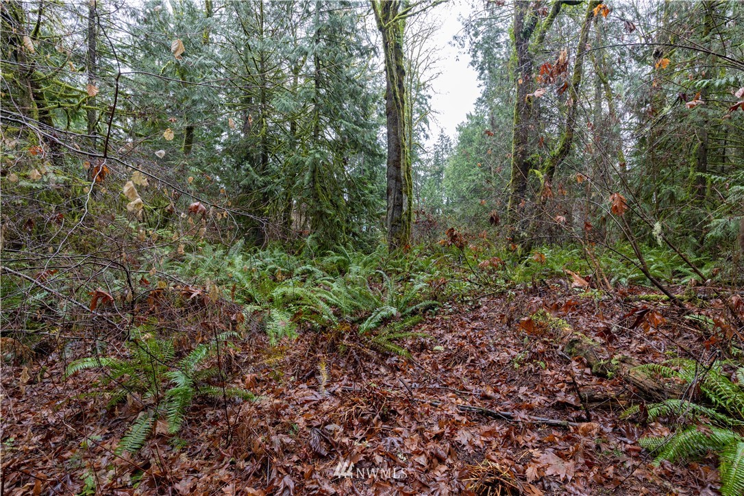 6 Sandy Hook Road Northeast Poulsbo, WA 98370 - Photo 9 of 11 Gallery Image 9