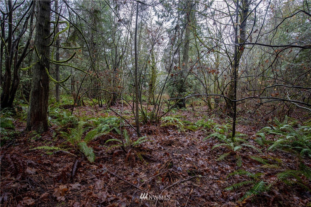 6 Sandy Hook Road Northeast Poulsbo, WA 98370 - Photo 10 of 11 Gallery Image 10